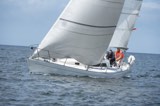white lightning gbr4327 whyw24 thur 750 9335
